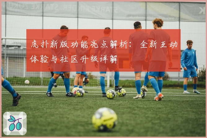 虎扑新版功能亮点解析：全新互动体验与社区升级详解