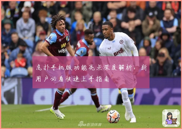 虎扑手机版功能亮点深度解析，新用户必看快速上手指南